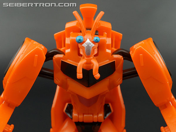 Transformers: Robots In Disguise Bisk (Image #37 of 80)