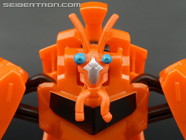 Transformers: Robots In Disguise Bisk (Image #38 of 80)