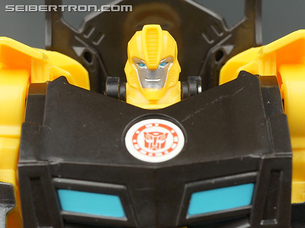 one step bumblebee transformer