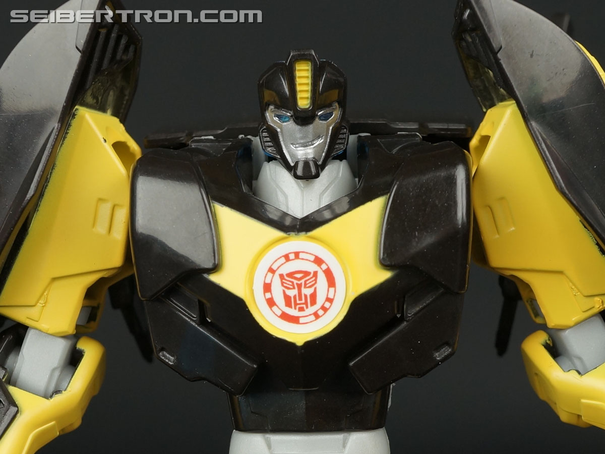 transformers robots in disguise bumblebee's night off