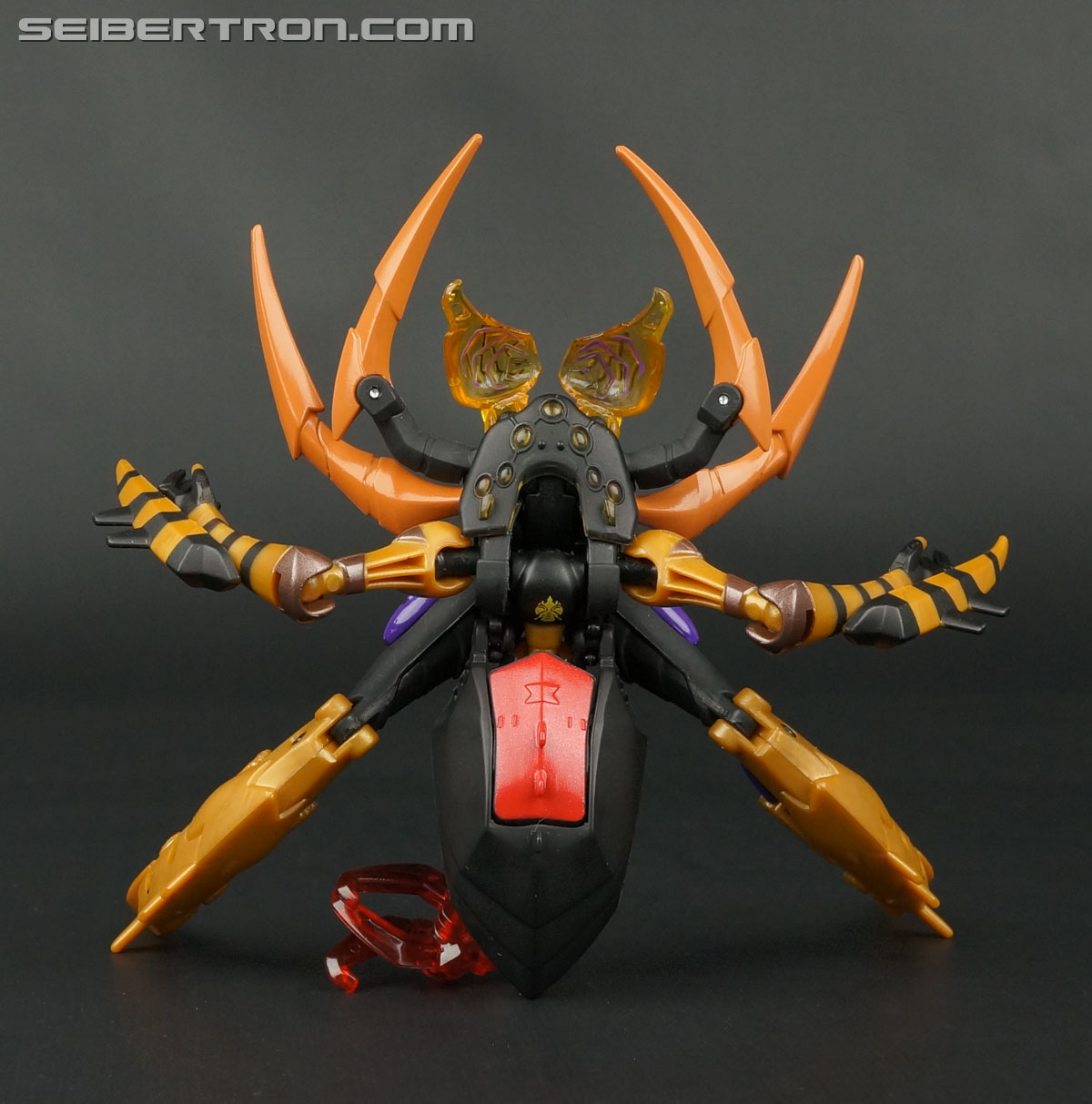 Transformers Legends Blackarachnia (Image #46 of 173)