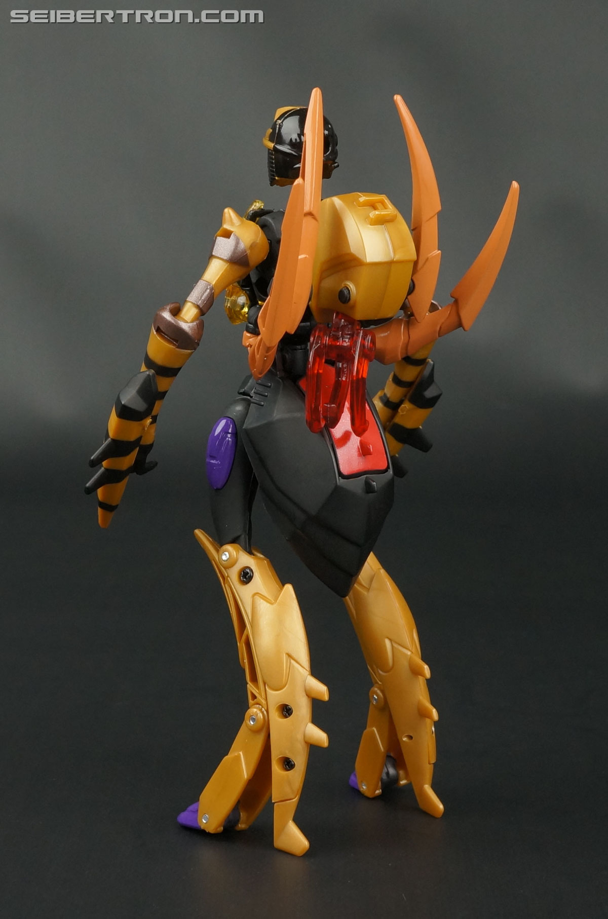 Transformers Legends Blackarachnia (Image #84 of 173)