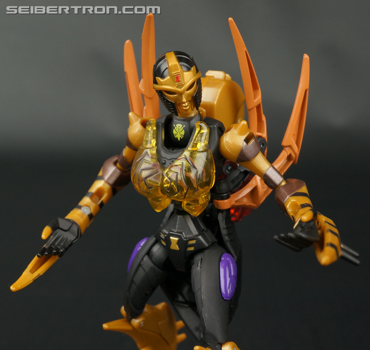 Transformers Legends Blackarachnia (Image #97 of 173)