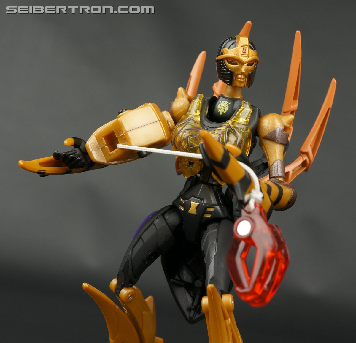 Transformers Legends Blackarachnia (Image #117 of 173)