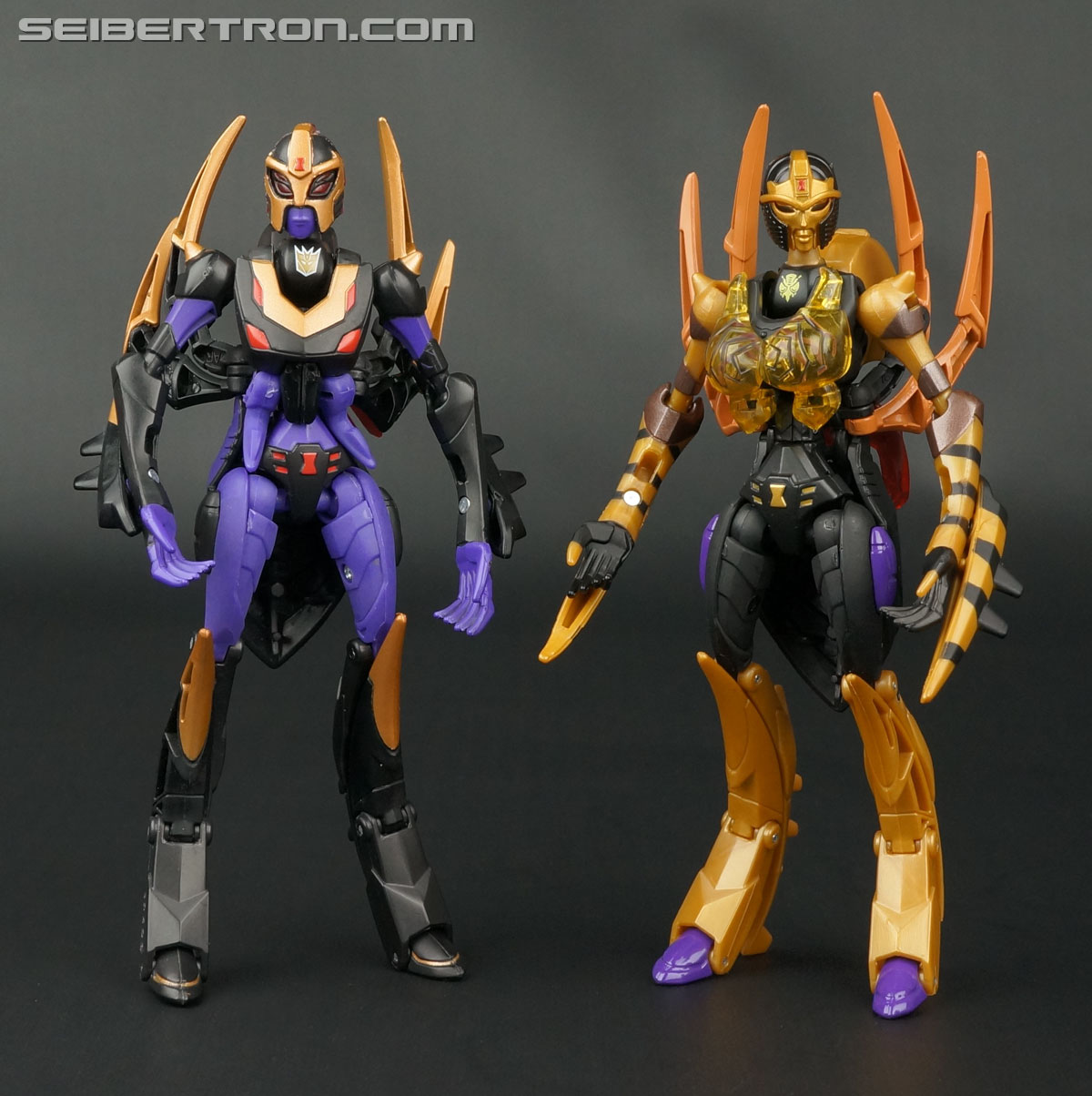 Transformers Legends Blackarachnia (Image #129 of 173)