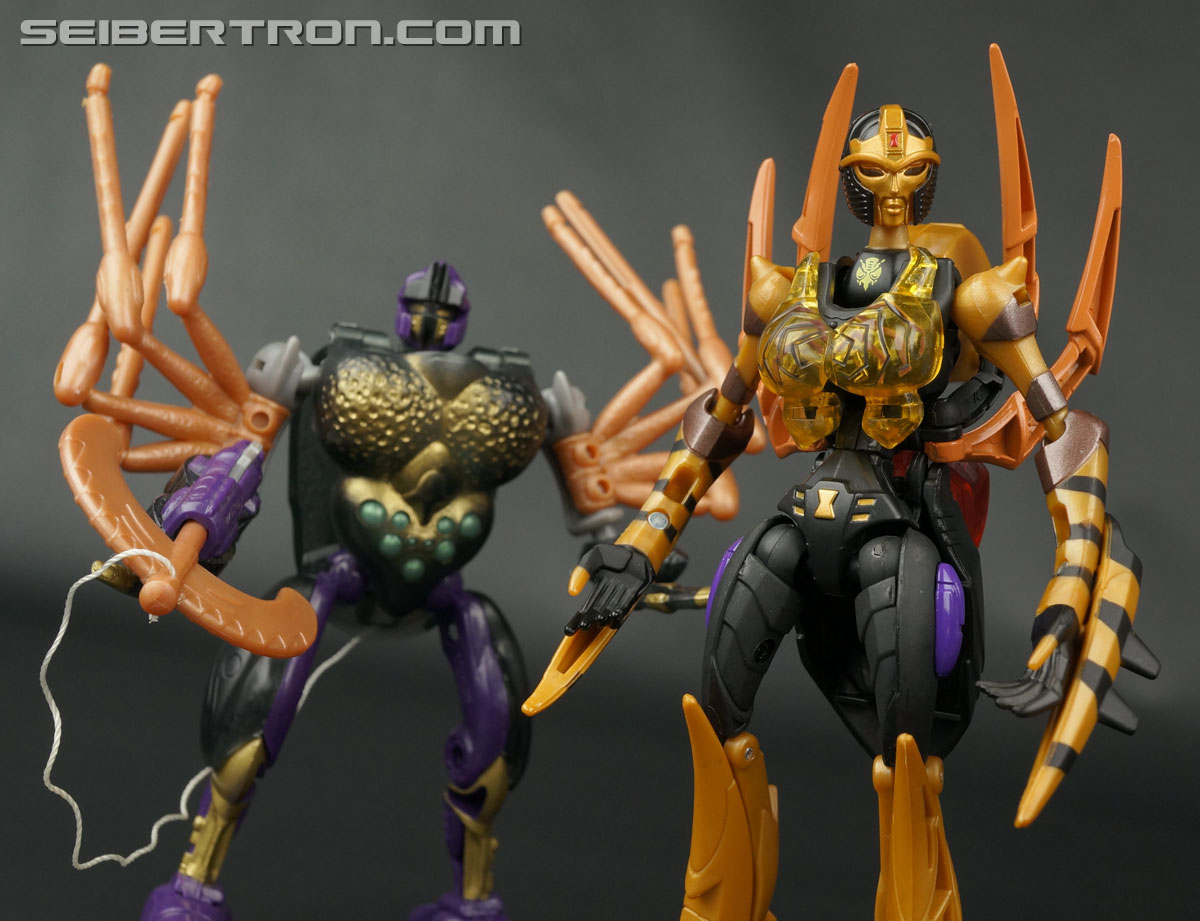 Transformers Legends Blackarachnia (Image #141 of 173)