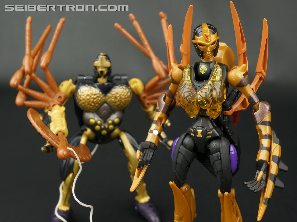 Transformers Legends Blackarachnia (Image #144 of 173)