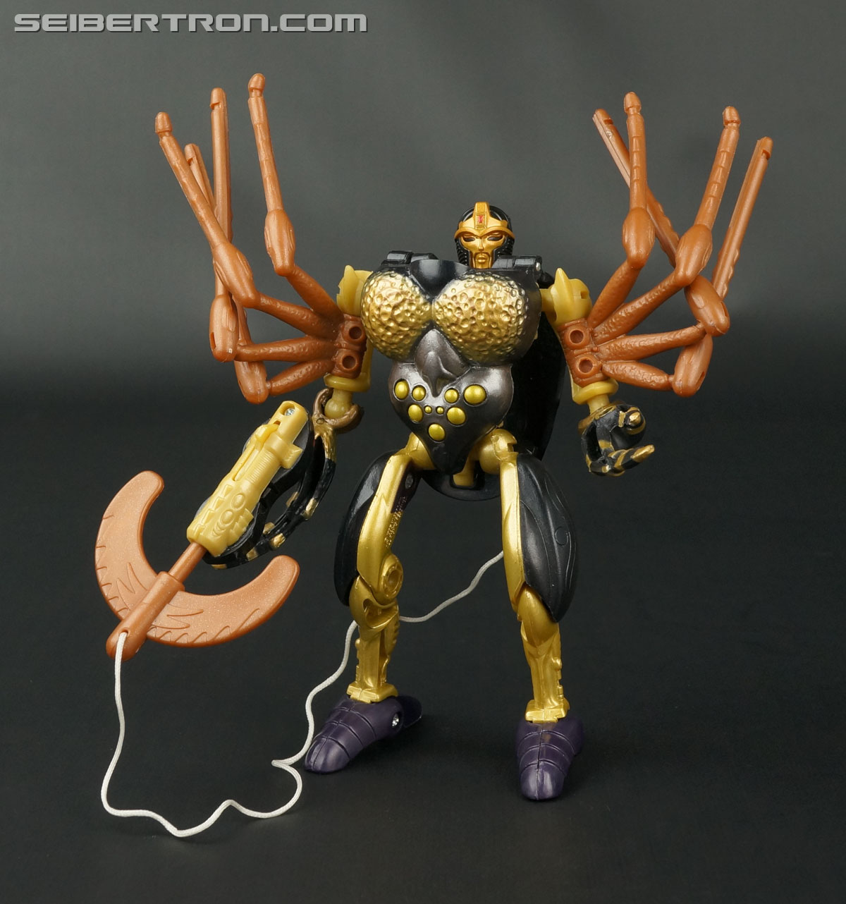 Transformers Legends Blackarachnia Toy Gallery (Image #158 of 173)