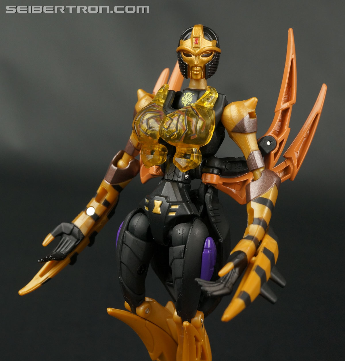 Transformers Legends Blackarachnia Toy Gallery (Image #162 of 173)