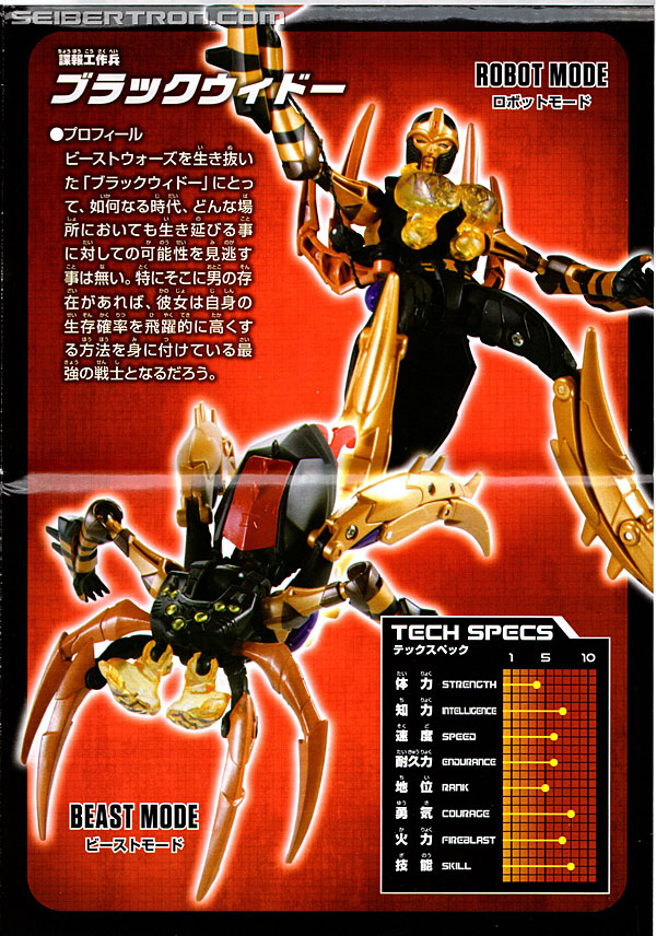 Transformers Legends Blackarachnia (Image #22 of 173)