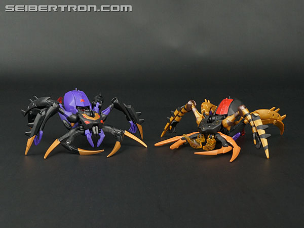 Transformers Legends Blackarachnia (Image #52 of 173)