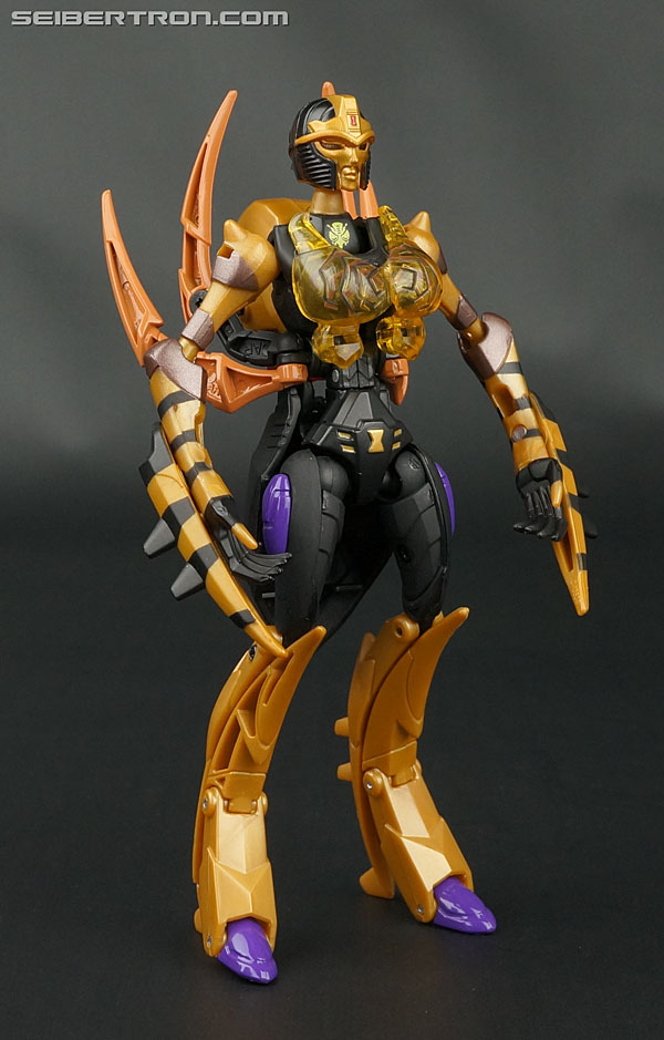 Transformers Legends Blackarachnia (Image #76 of 173)