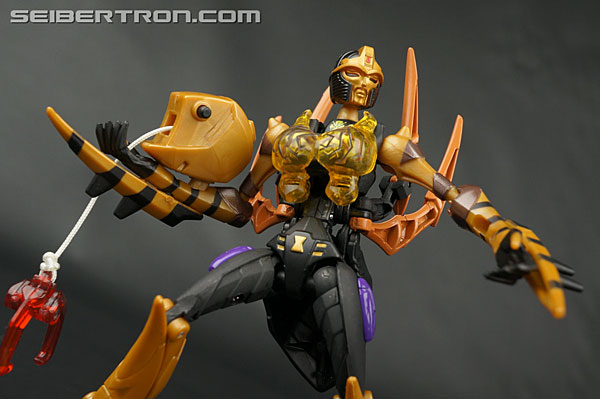 Transformers Legends Blackarachnia (Image #127 of 173)