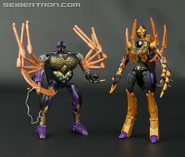 Transformers Legends Blackarachnia (Image #137 of 173)