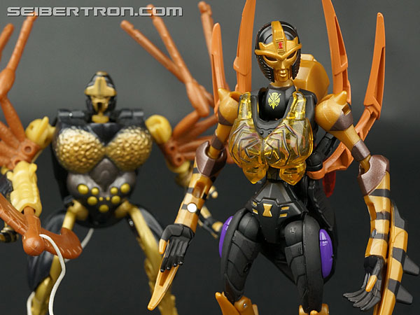 Transformers Legends Blackarachnia (Image #145 of 173)