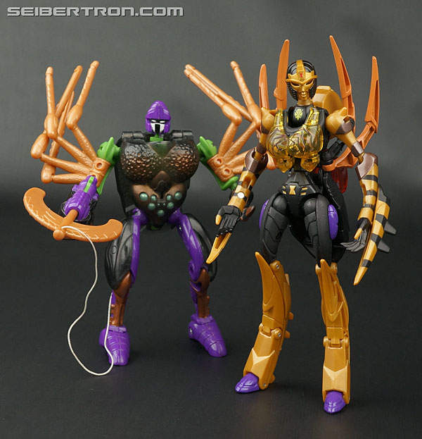 Transformers Legends Blackarachnia (Image #148 of 173)