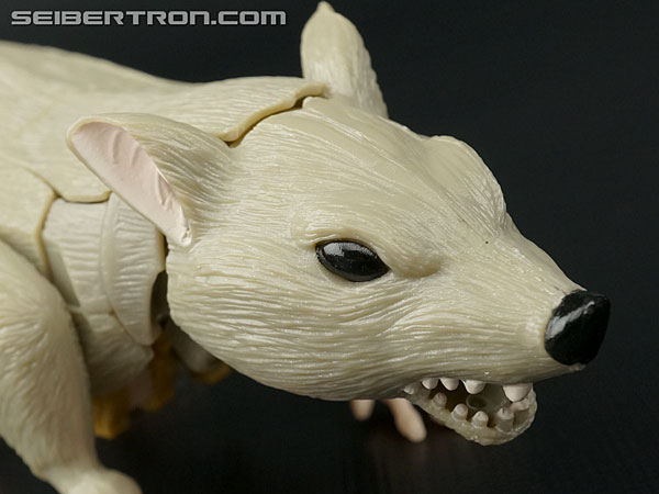 Transformers Legends Rattrap (Image #25 of 130)