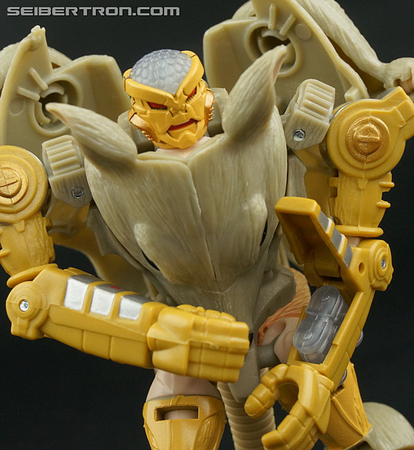 rattrap toy