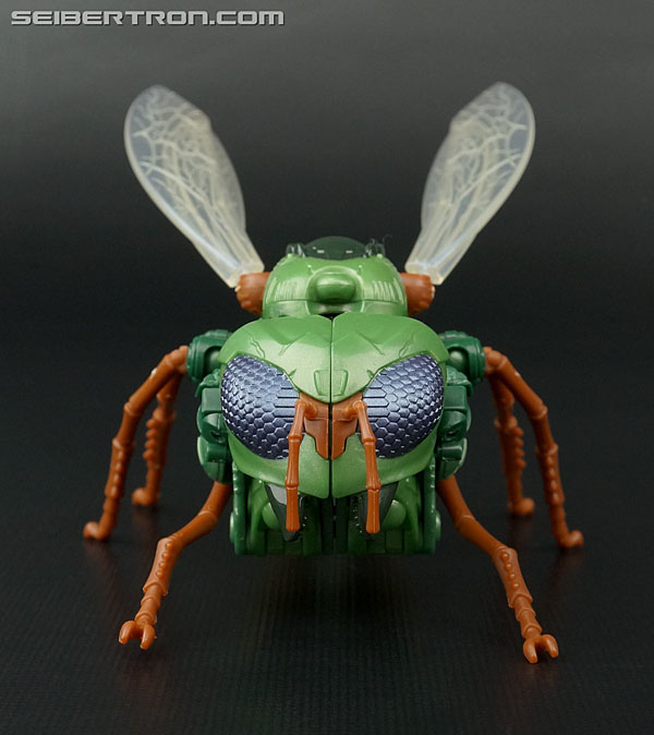 transformers wasp toy