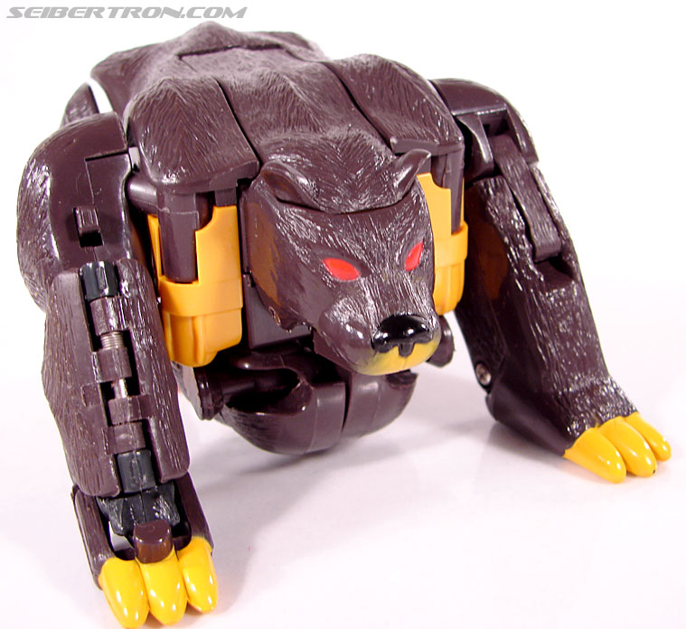 Transformers BotCon Exclusives Grizzly-1 (Barbearian) (Image #21 of 98)