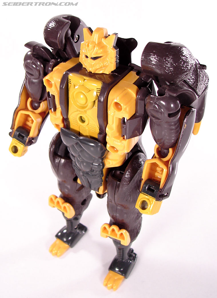 Transformers BotCon Exclusives Grizzly-1 (Barbearian) (Image #52 of 98)