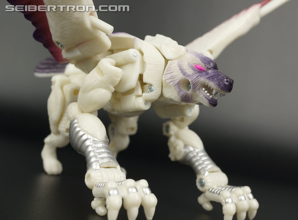 Transformers BotCon Exclusives Windrazor (Image #29 of 137)