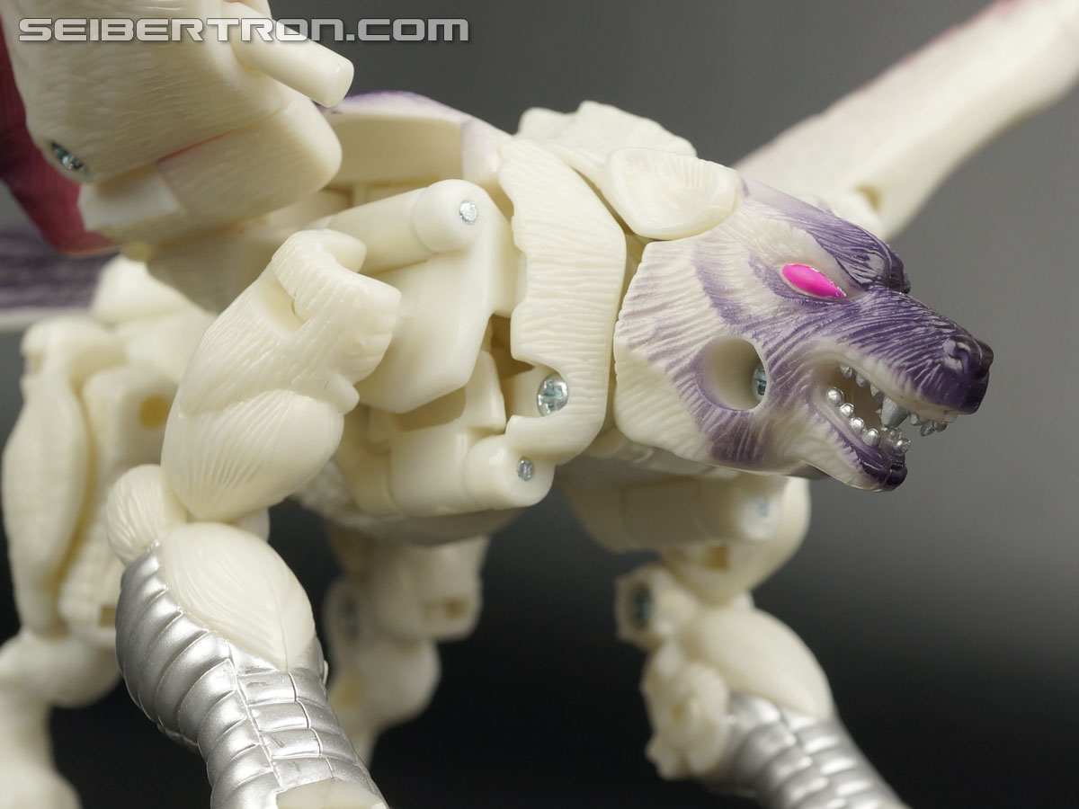 Transformers BotCon Exclusives Windrazor (Image #30 of 137)