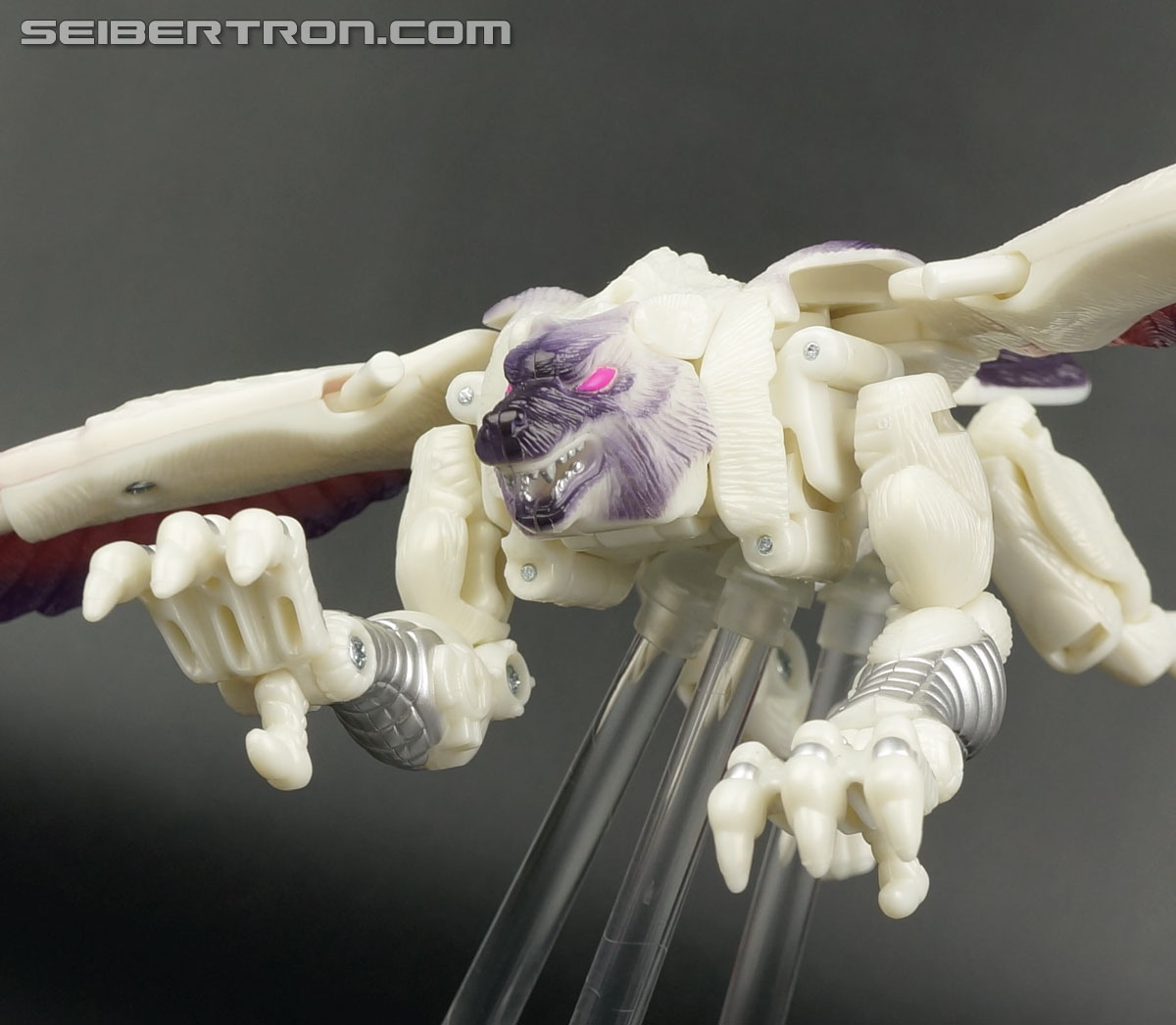 Transformers BotCon Exclusives Windrazor (Image #55 of 137)
