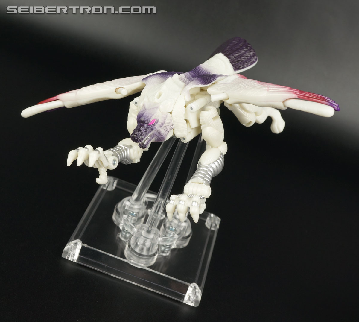 Transformers BotCon Exclusives Windrazor (Image #56 of 137)