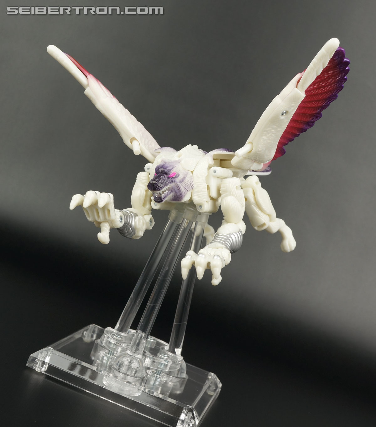 Transformers BotCon Exclusives Windrazor (Image #57 of 137)