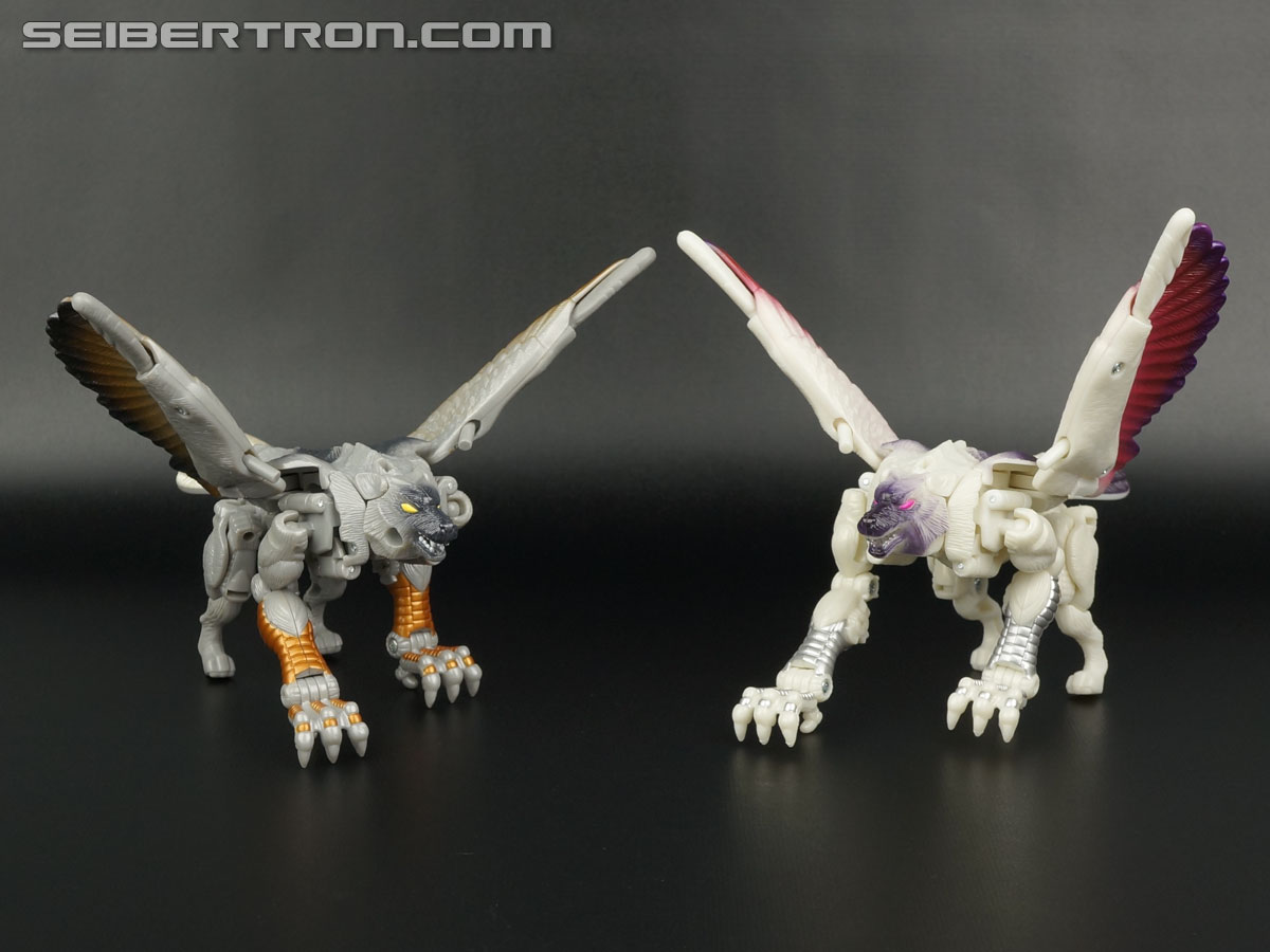 Transformers BotCon Exclusives Windrazor (Image #60 of 137)