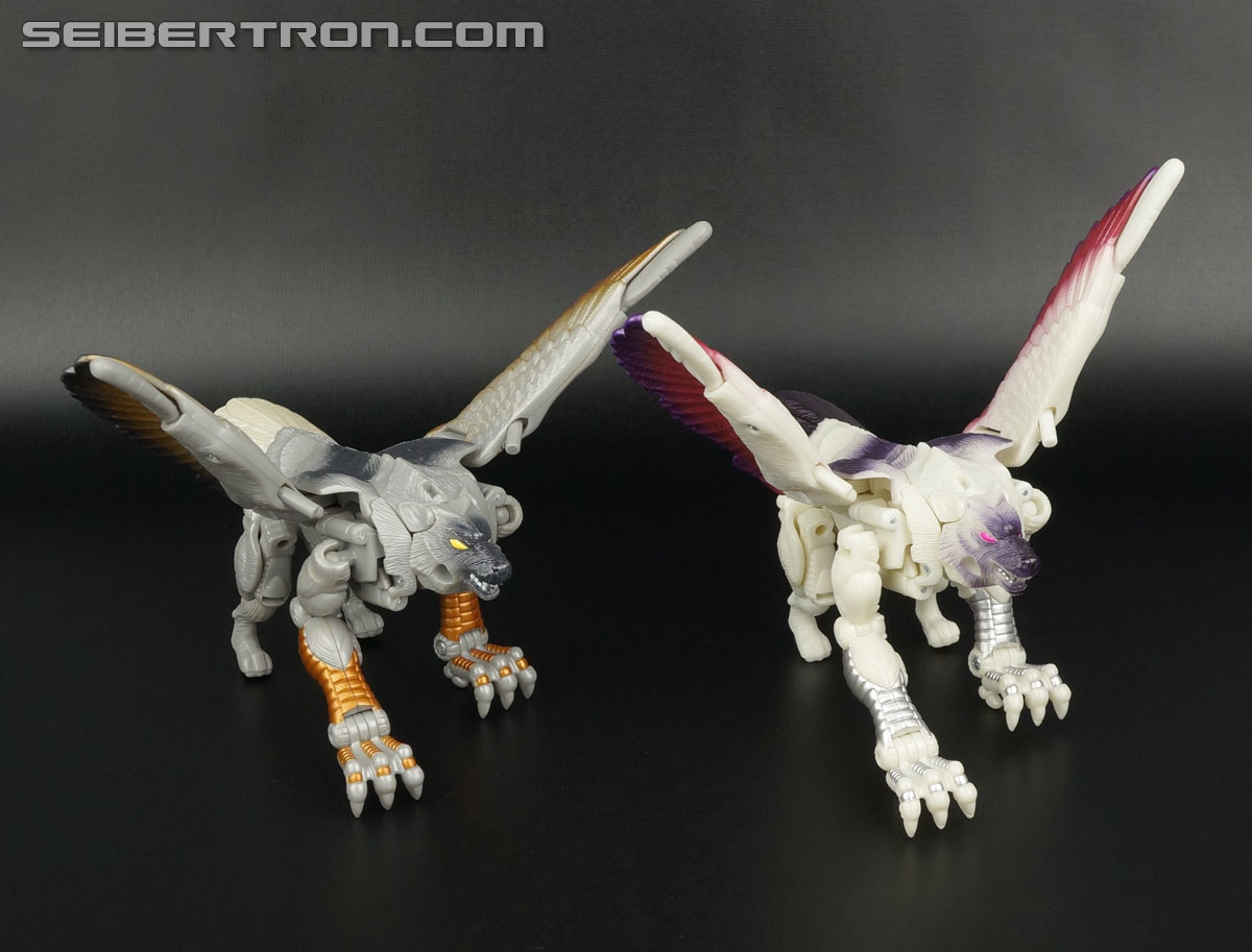 Transformers BotCon Exclusives Windrazor (Image #61 of 137)