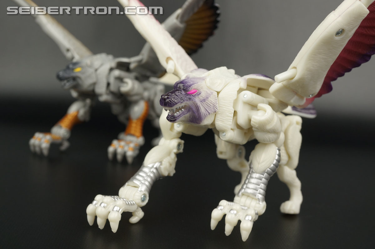 Transformers BotCon Exclusives Windrazor (Image #68 of 137)