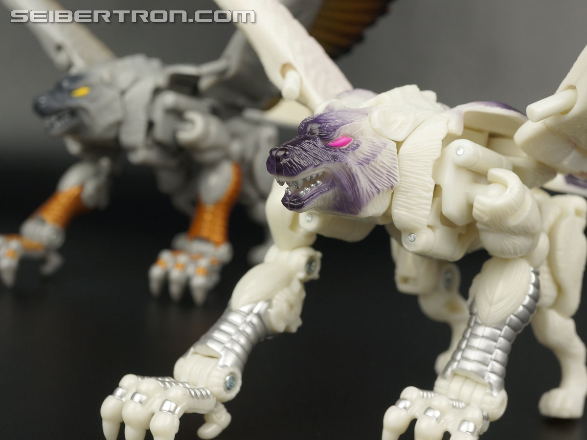 Transformers BotCon Exclusives Windrazor (Image #69 of 137)