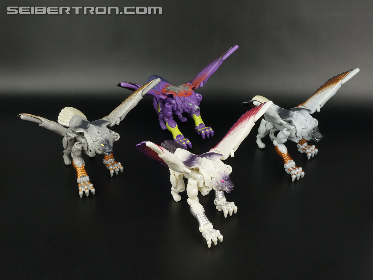 Transformers BotCon Exclusives Windrazor (Image #70 of 137)