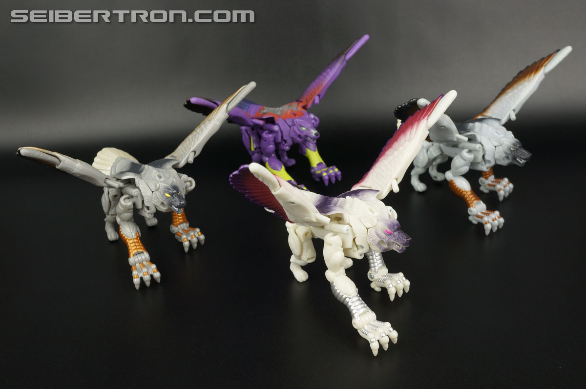 Transformers BotCon Exclusives Windrazor (Image #71 of 137)