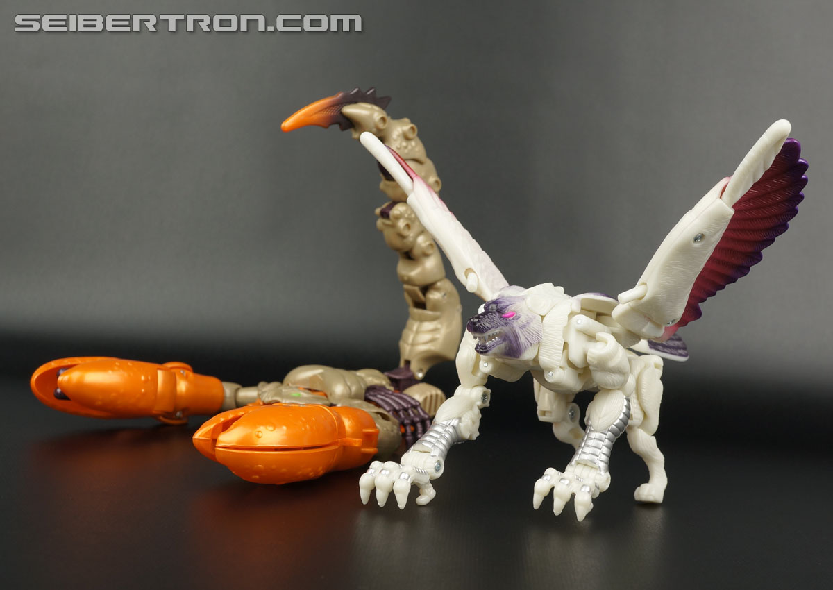 Transformers BotCon Exclusives Windrazor (Image #77 of 137)