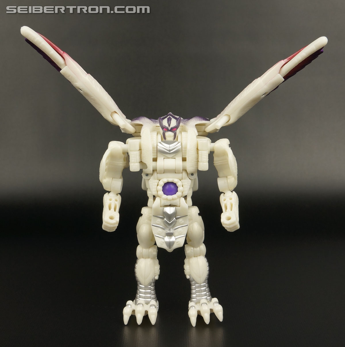 Transformers BotCon Exclusives Windrazor (Image #78 of 137)