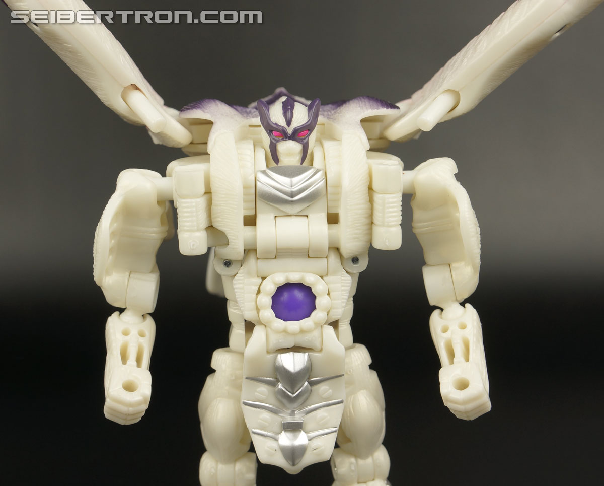 Transformers BotCon Exclusives Windrazor (Image #79 of 137)