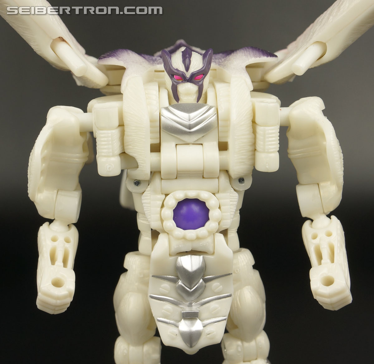 Transformers BotCon Exclusives Windrazor (Image #80 of 137)