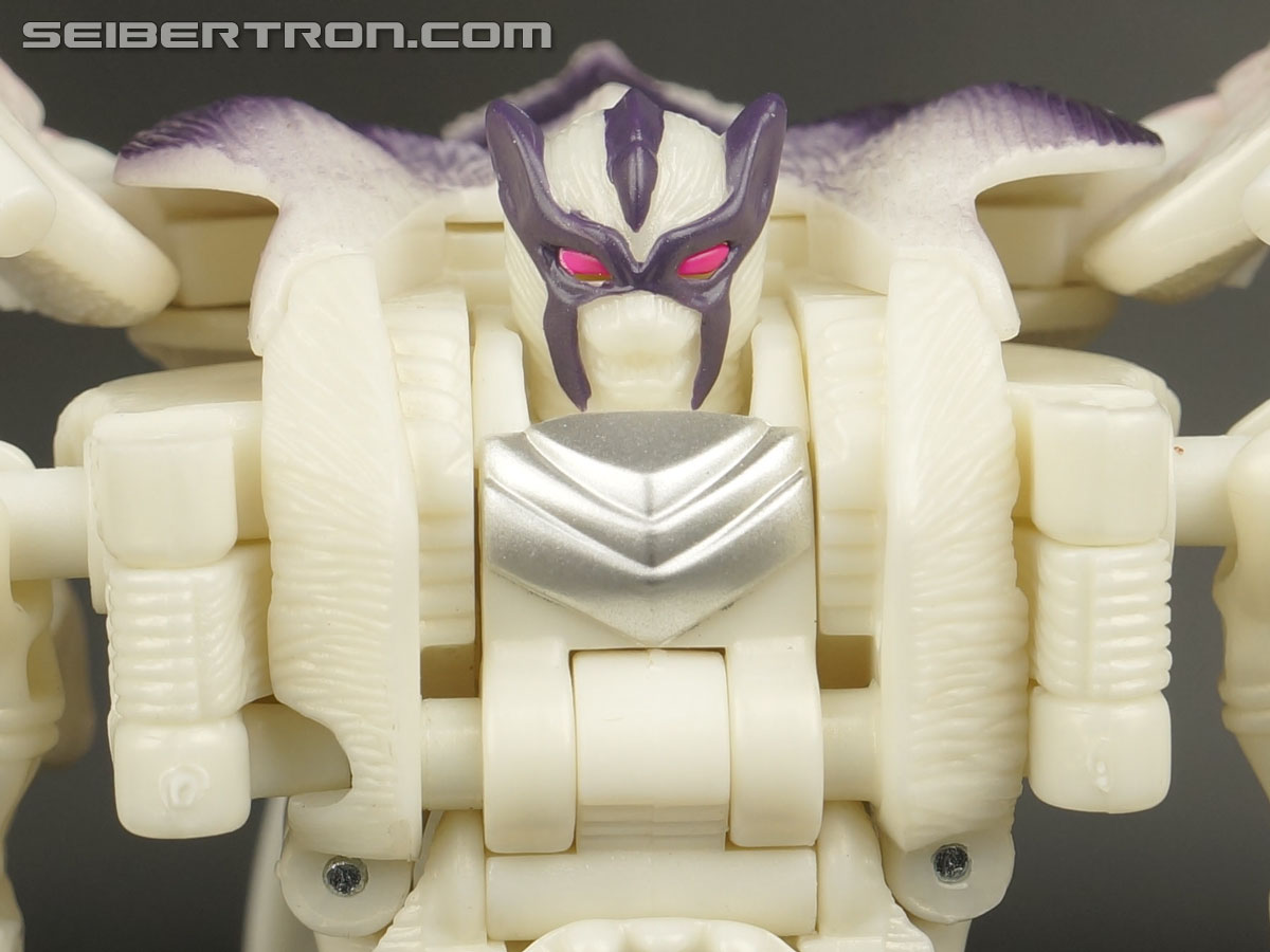 Transformers BotCon Exclusives Windrazor (Image #81 of 137)