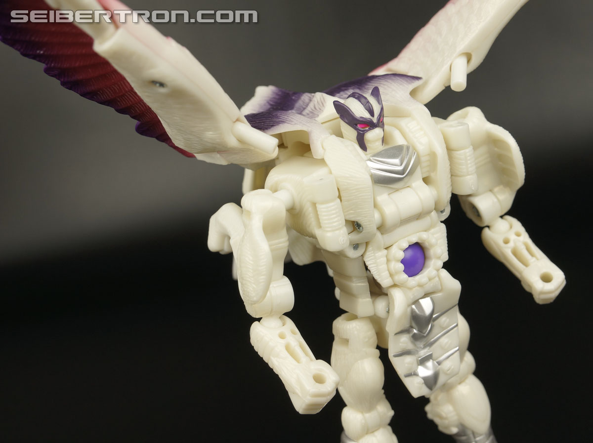 Transformers BotCon Exclusives Windrazor (Image #82 of 137)