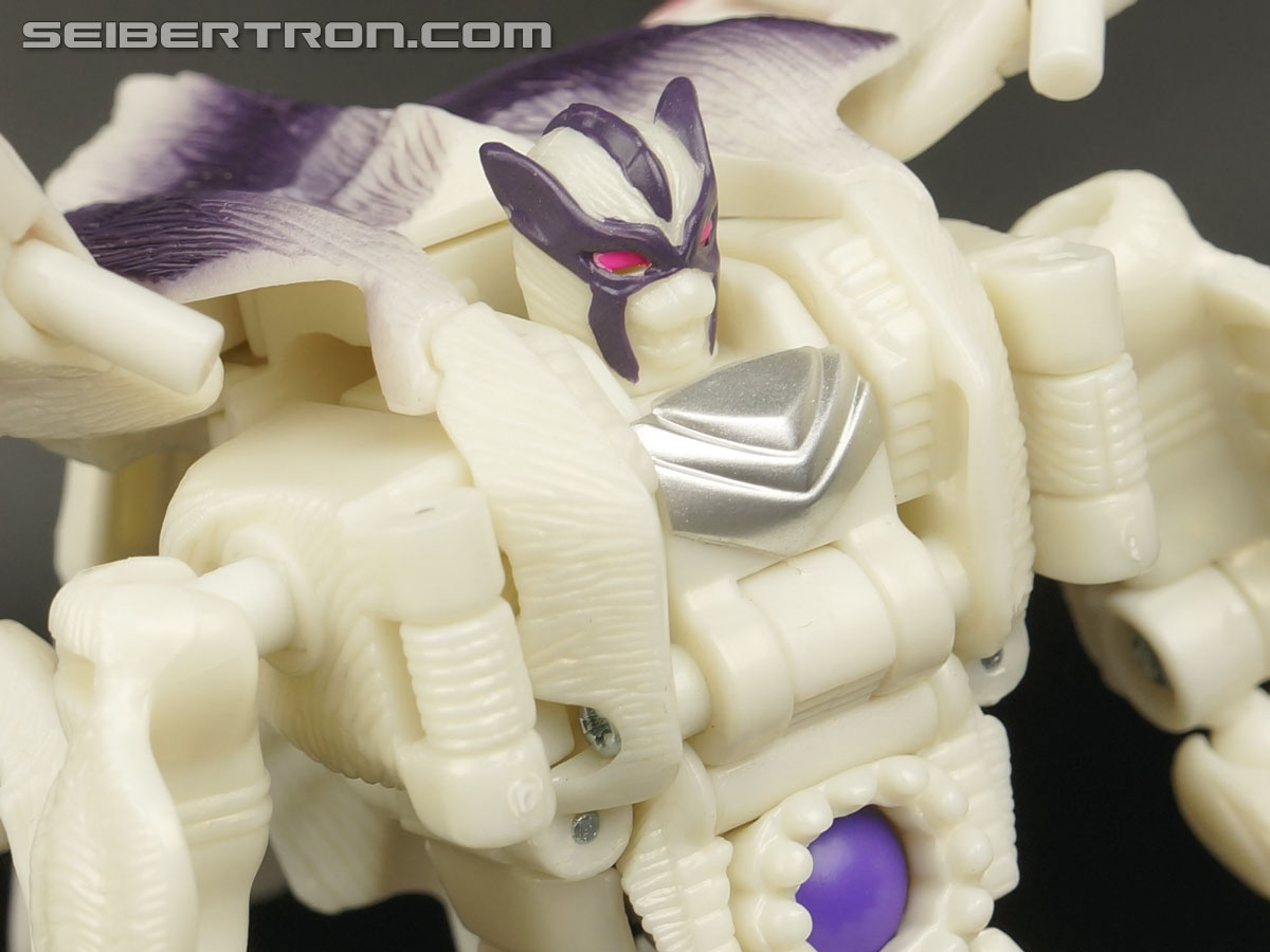 Transformers BotCon Exclusives Windrazor (Image #84 of 137)