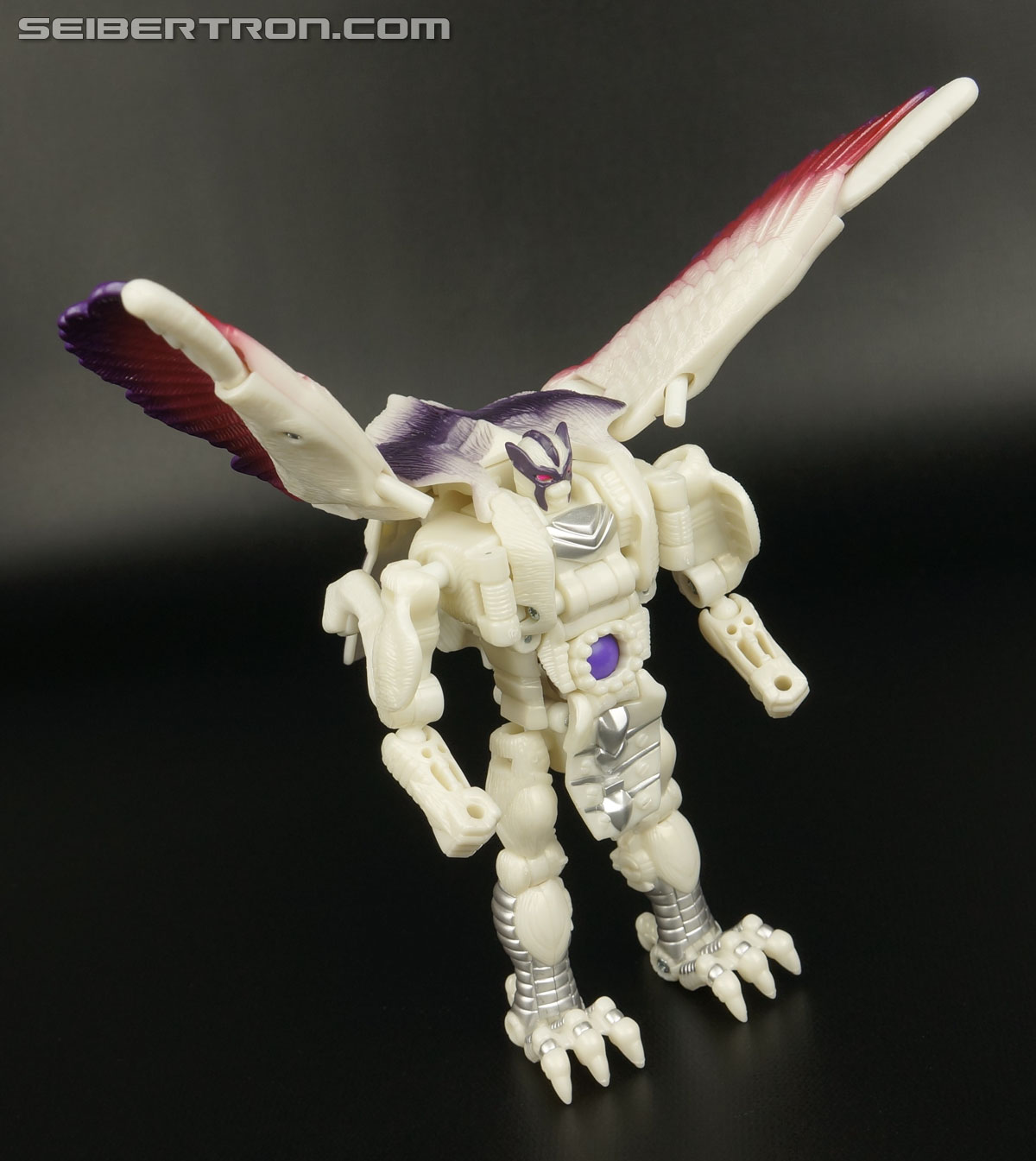 Transformers BotCon Exclusives Windrazor (Image #88 of 137)