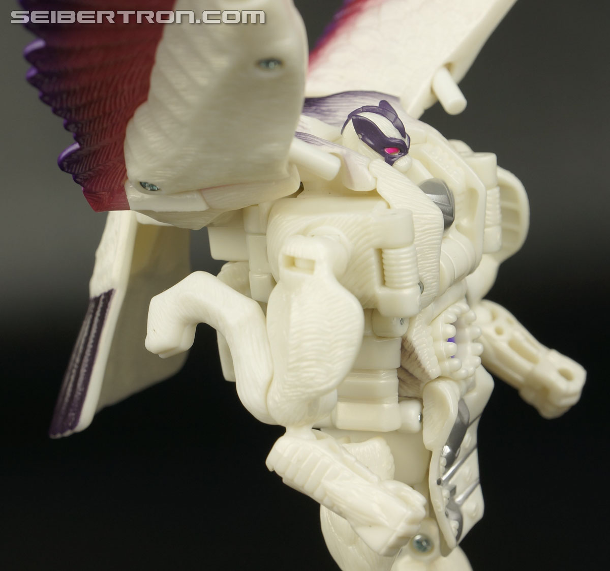 Transformers BotCon Exclusives Windrazor (Image #90 of 137)
