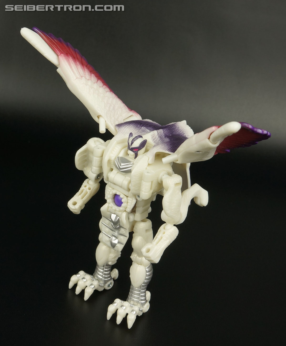 Transformers BotCon Exclusives Windrazor (Image #97 of 137)