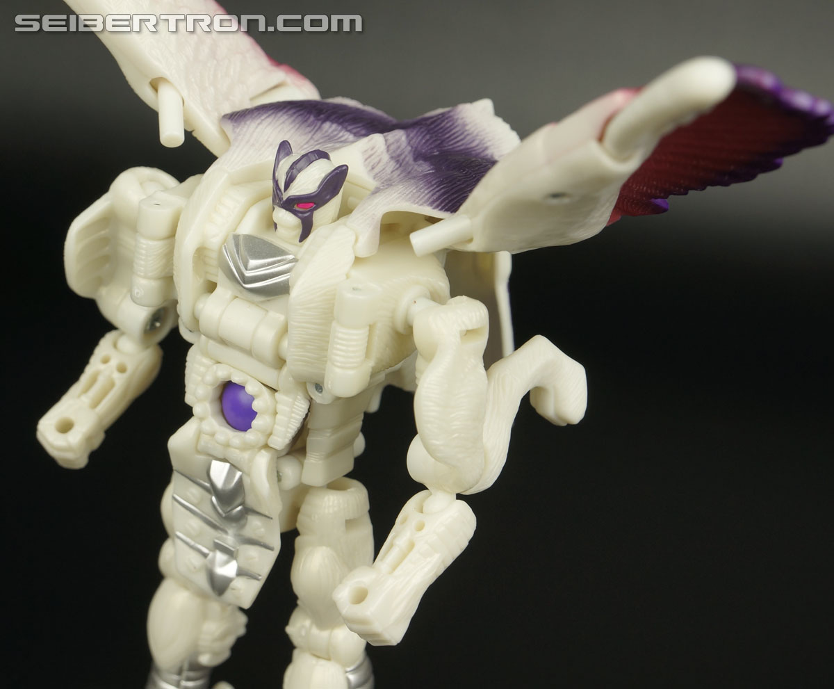 Transformers BotCon Exclusives Windrazor (Image #98 of 137)