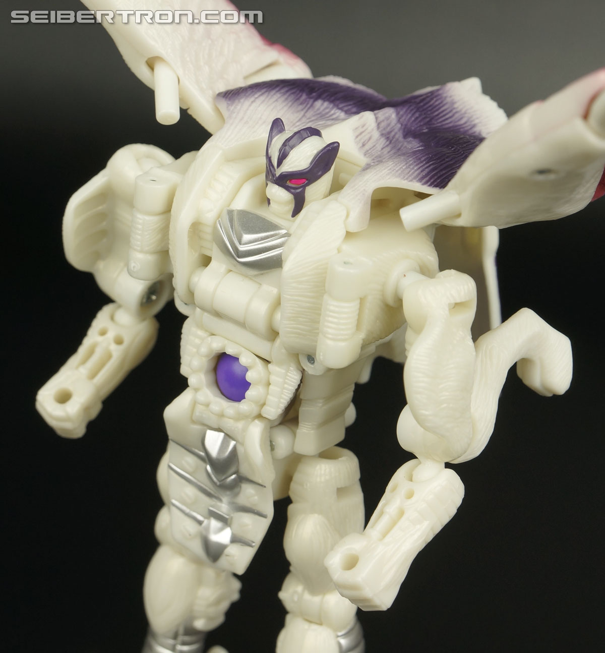 Transformers BotCon Exclusives Windrazor (Image #99 of 137)