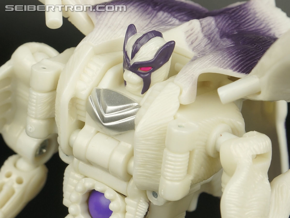 Transformers BotCon Exclusives Windrazor (Image #100 of 137)