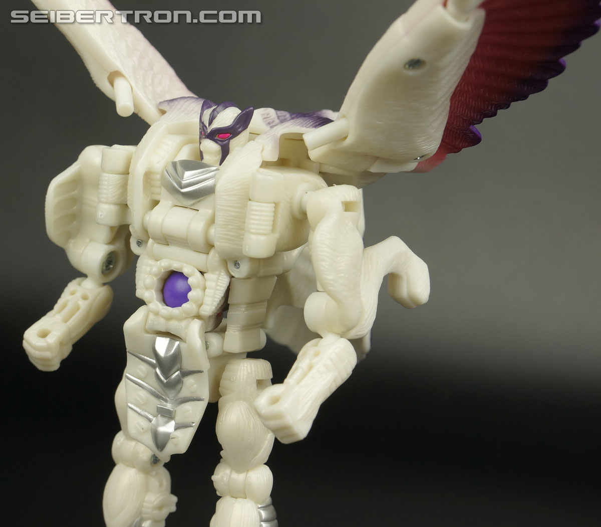 Transformers BotCon Exclusives Windrazor (Image #101 of 137)